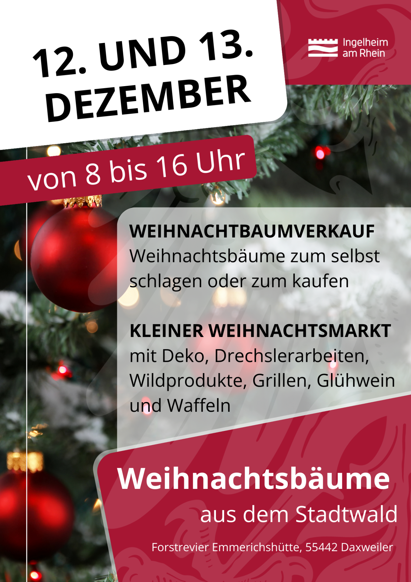 Stadtwald-WEihnachtsbäume - 1 Stadtwald-WEihnachtsbäume - 1