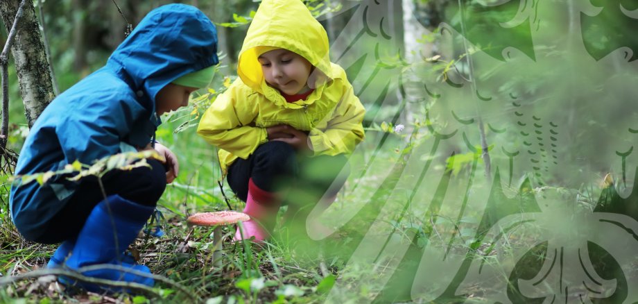 Design ohne Titel - 2