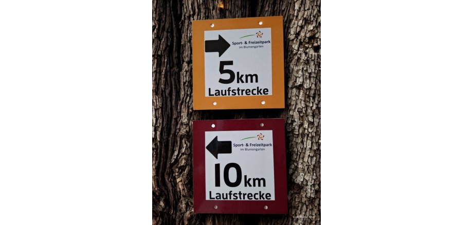 KI-generierter Inhalt - 1 KI-generierter Inhalt - 1